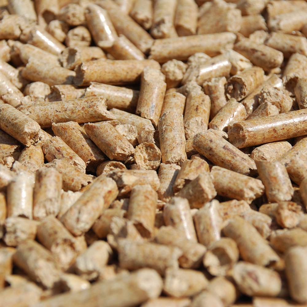 Grimm Heiztechnik AG Pellets Heizungsanlagenn